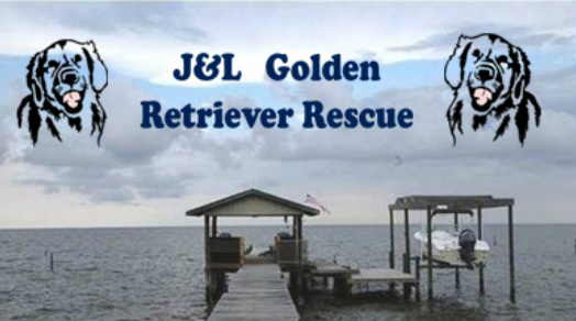 J\u0026L Golden Retriever Rescue - Home